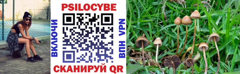 Псилоцибиновые грибы Cubensis  Купить  Елабуга 
